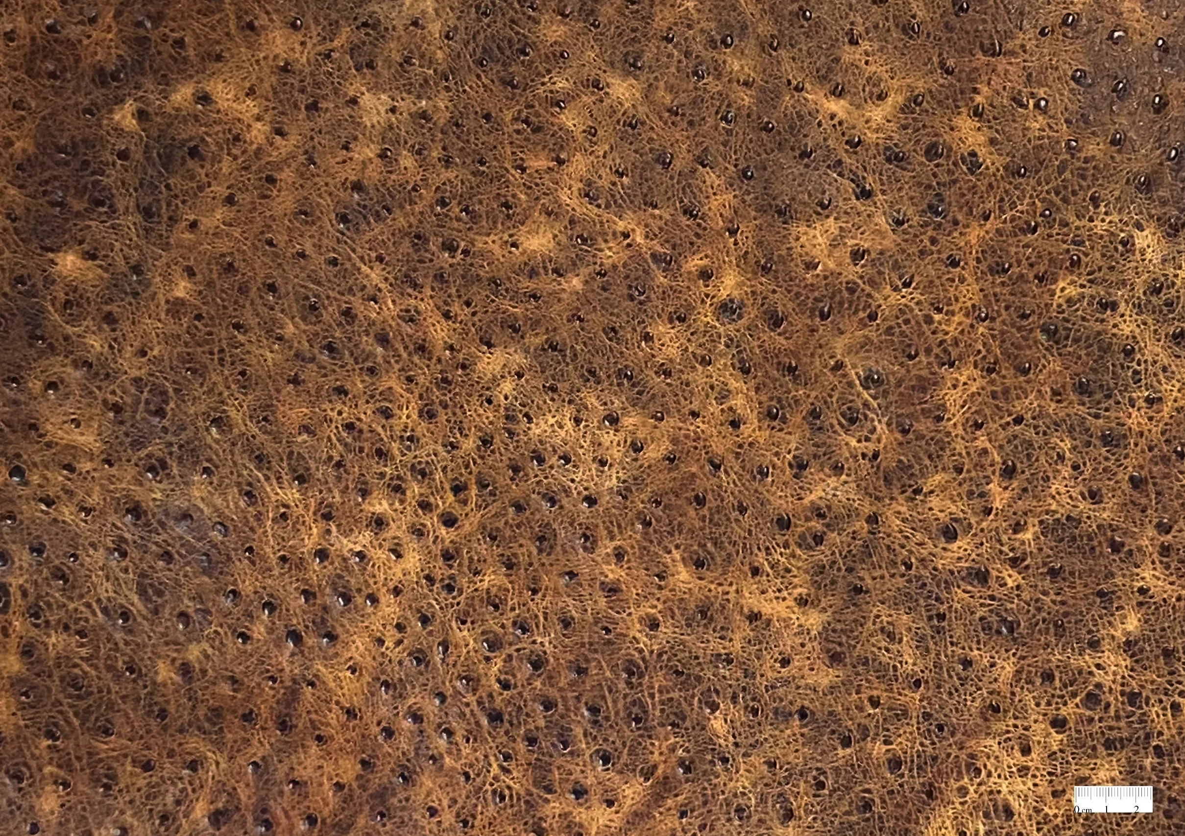 2oz Distressed Brown Ostrich Embossed Cow Leather (per square foot)