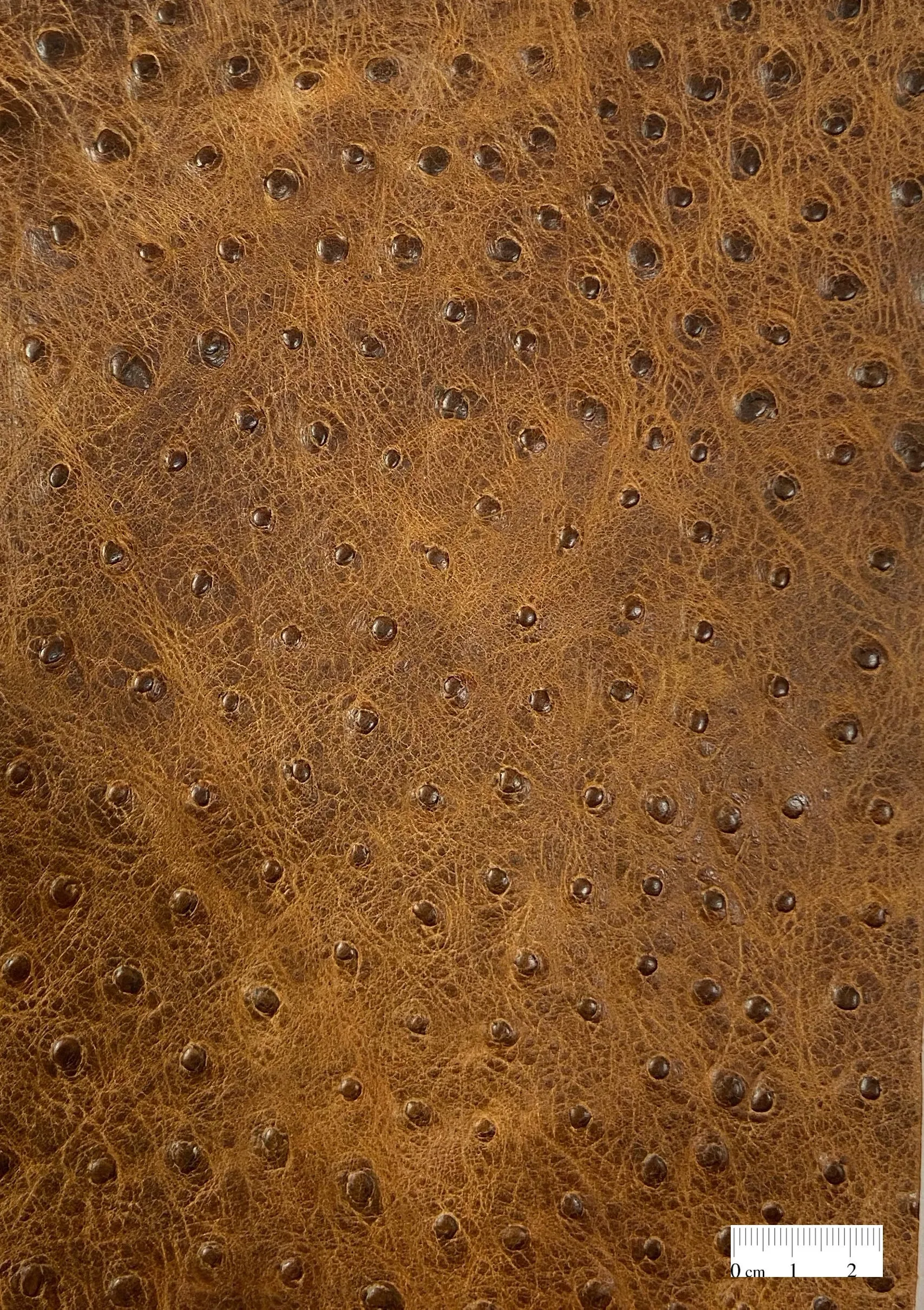 2oz Distressed Brown Ostrich Embossed Cow Leather (per square foot)