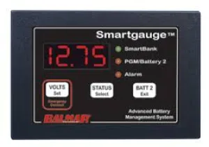 SMARTGAUGE™ BATTERY MONITOR